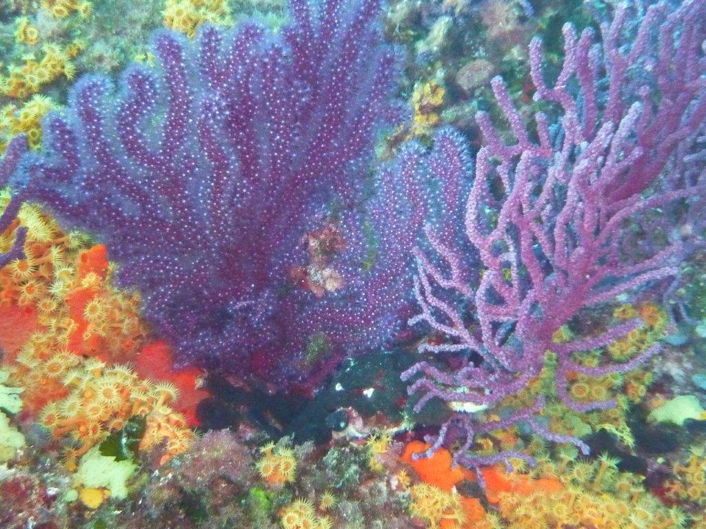 p1010684